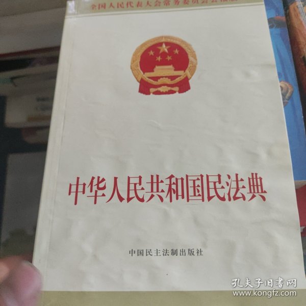 中华人民共和国民法典附草案说明32开