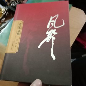 风声：麦家文集