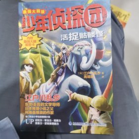 光栅解密版少年侦探团全集:活捉骷髅怪