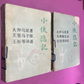 小侠隐记 上下