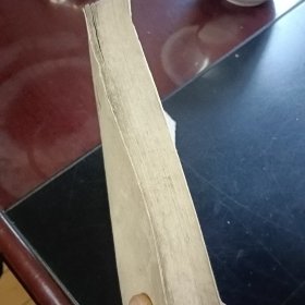 鲁迅一中国文化革命的巨人