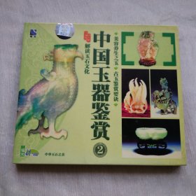 中国玉器鉴赏2解读玉石文vCD光碟保正版真品