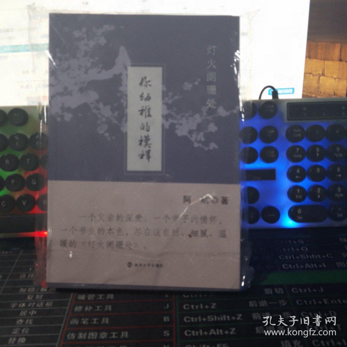 灯火阑珊处（套装共2册）