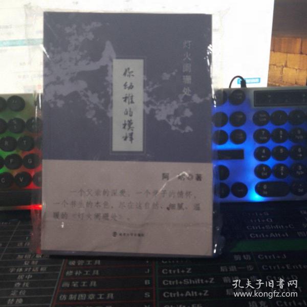 灯火阑珊处（套装共2册）