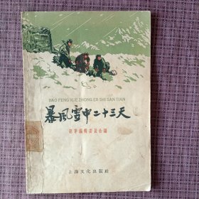暴风雪中二十三天