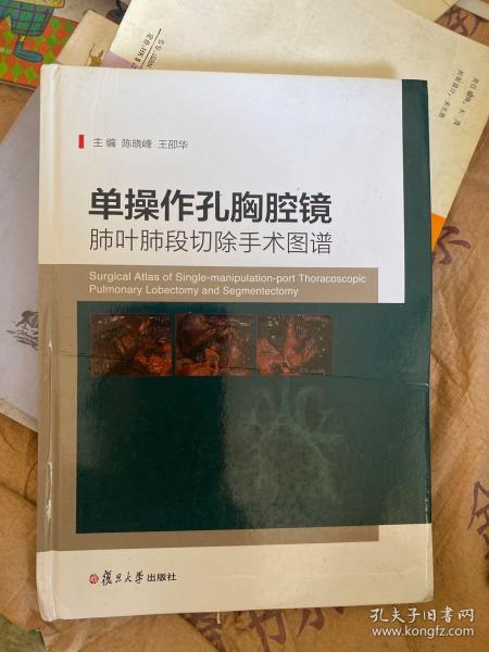 单操作孔胸腔镜肺叶肺段切除手术图谱