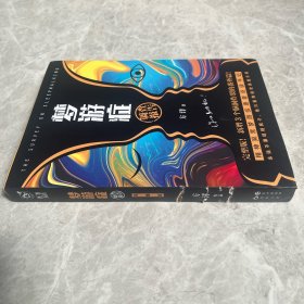 梦游症完整版（超畅销 精神异常梦游症患者访谈手记）
