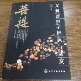 文玩菩提子把玩与鉴赏