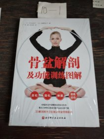 骨盆解剖及功能训练图解——骨盆解剖与康复运动调节方法完美结合的骨盆完全指南