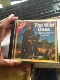 光盘 The Wild Ones