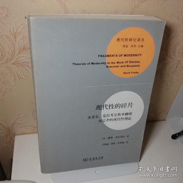 现代性的碎片：齐美尔、克拉考尔和本雅明作品中的现代性理论