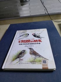 有翅膀的朋友·给孩子的鸟类观察知识手册