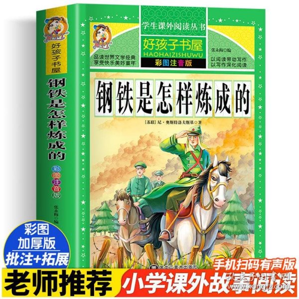 钢铁是怎样炼成的/新课标学生课外必读丛书