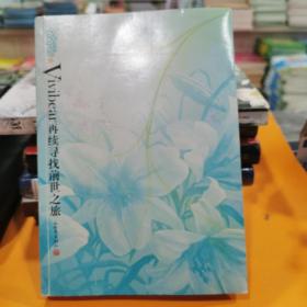 寻找前世之流年转2