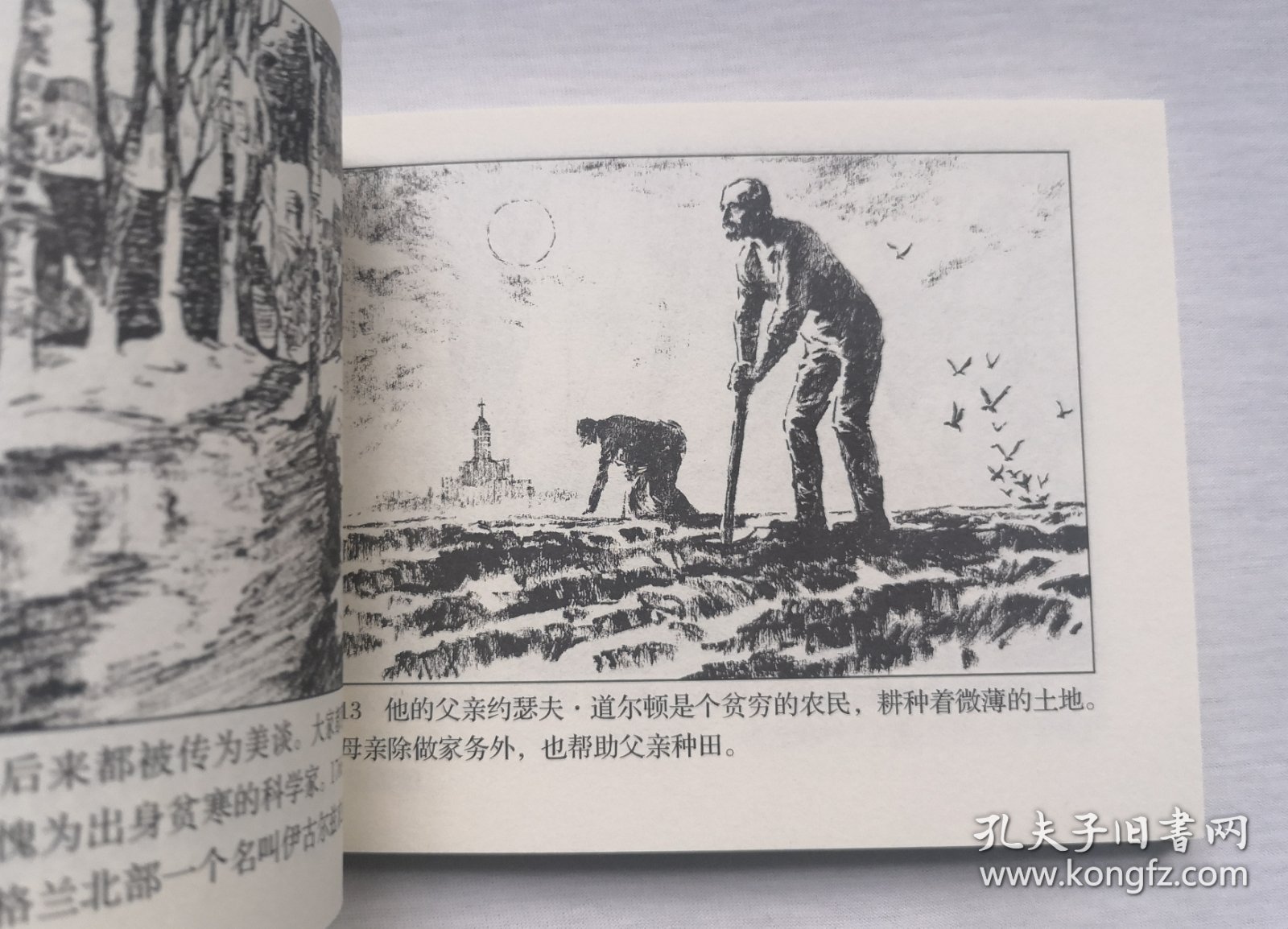 道尔顿