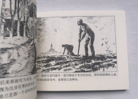 道尔顿