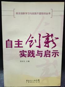 自主创新实践与启示