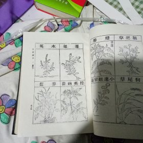 本草纲目《一》