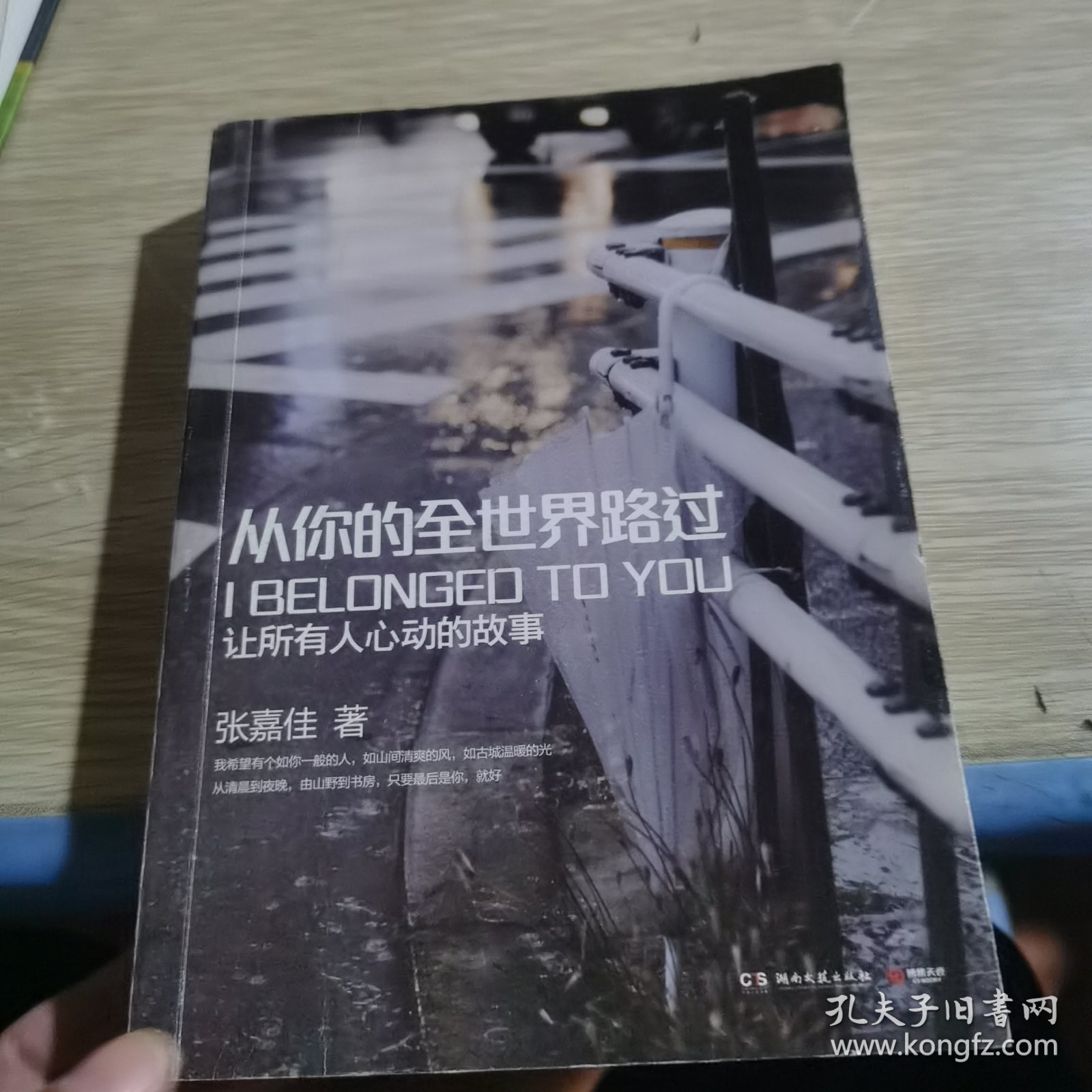 从你的全世界路过：让所有人心动的故事