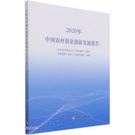 中国农村创业创新发展报告（2020年）