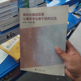 高校共青团改革与青年学生骨干培养实践