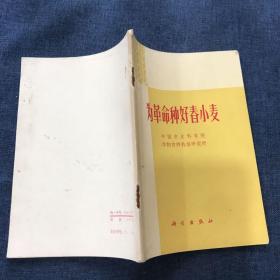 为革命种好春小麦