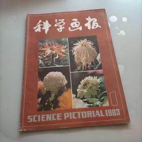 科学画报，1983年第一期