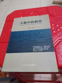天籟中的偶然