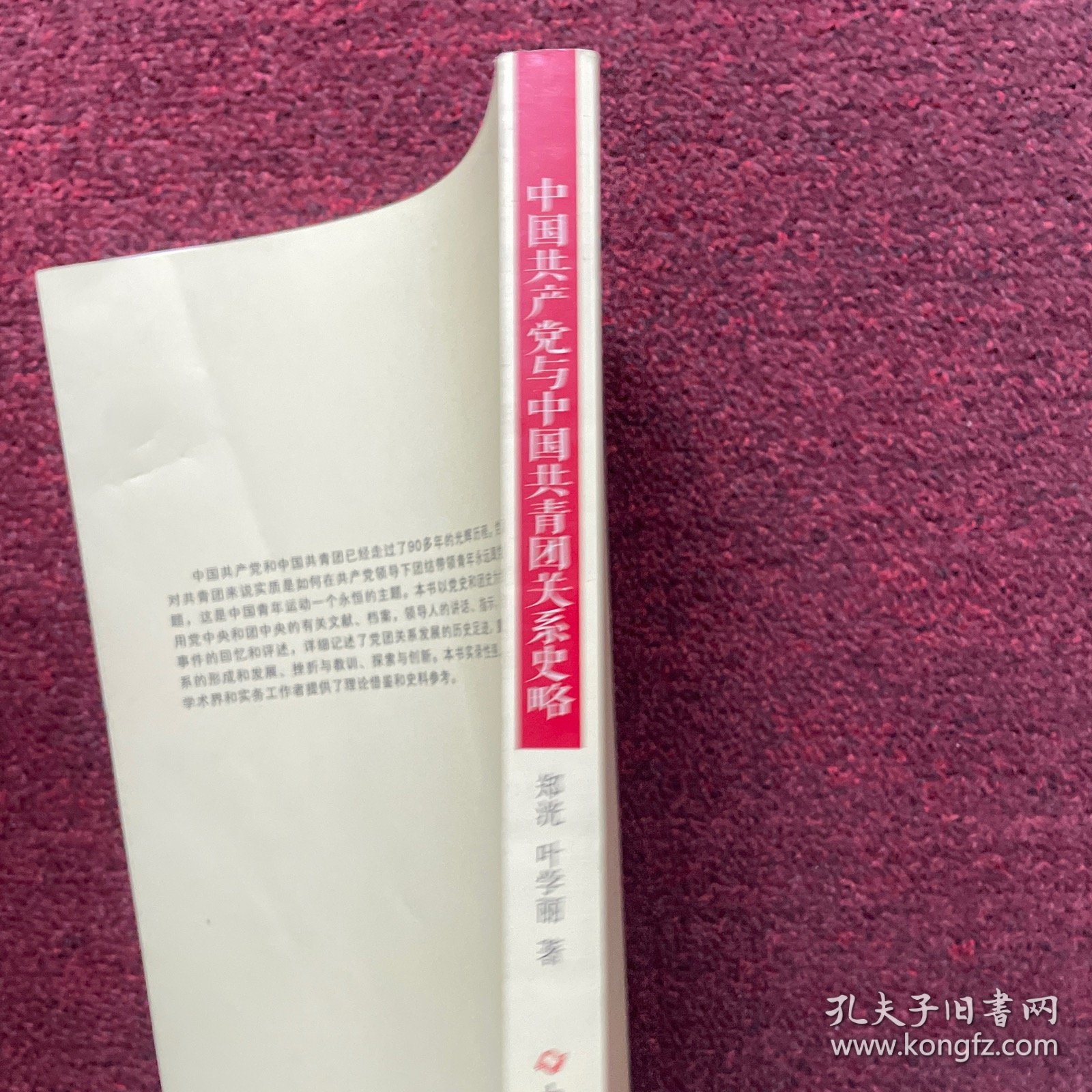 中国共产党与中国共青团关系史略 签名