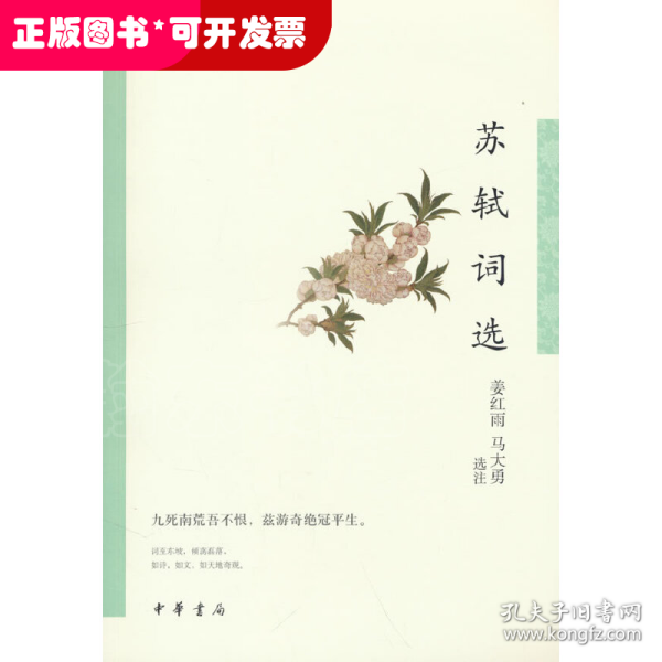 苏轼词选（中华古典文学选本丛书）