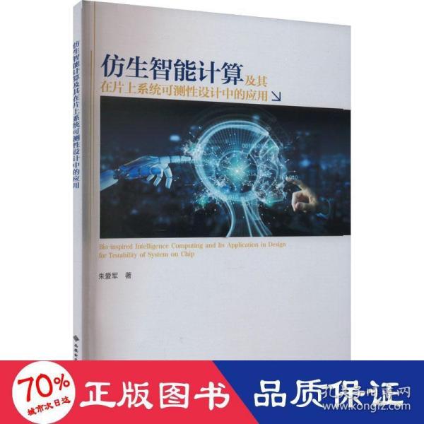 仿生智能计算及其在片上系统可测性设计中的应用