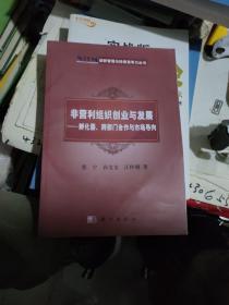 创新管理与持续竞争力丛书·非营利组织创业与发展：孵化器、跨部门合作与市场导向