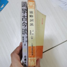 灵谿词说