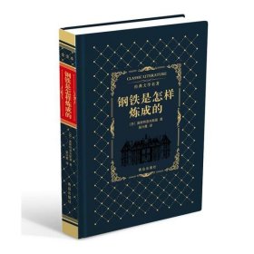 钢铁是怎样炼成的/经典文学名著