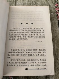 枝蔓丛丛的回忆 岁月文丛