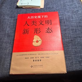 大历史观下的人类文明新形态