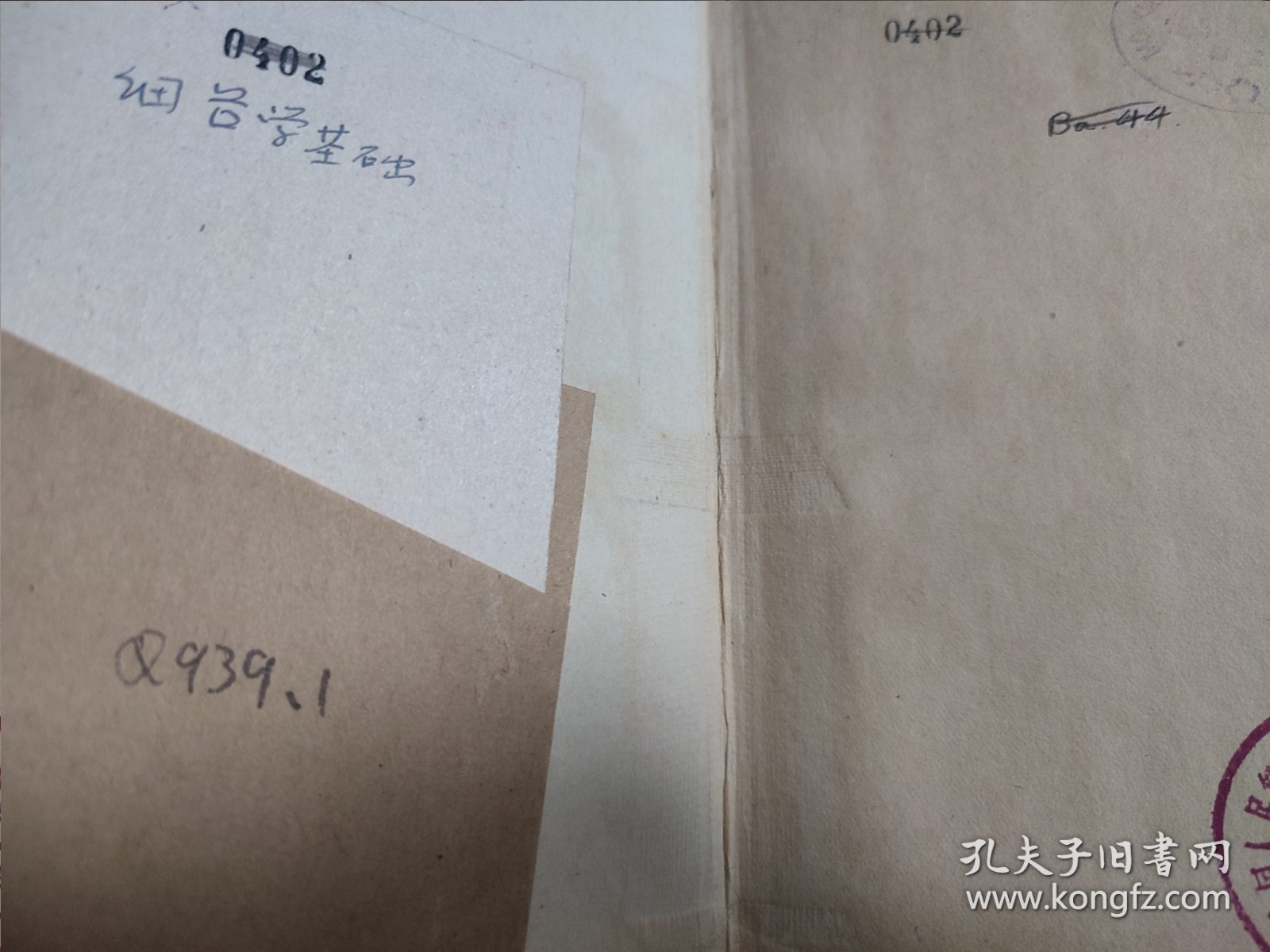 Elementary Bacteriology 基础细菌学 民国 古旧书 1903年 精装本 馆藏书 内页笔迹较多 英语原版书 细菌学基础