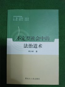 不定型社会中的法治道术