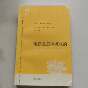 钢铁是怎样炼成的（译文名著文库037，轻型纸）