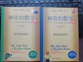 神奇的数学：517个开发大脑潜能的数学谜题（上下册）