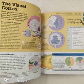 DK How the Brain Works: The Facts Visually Explained