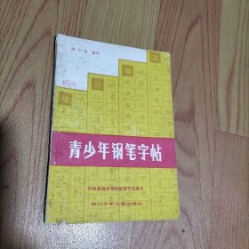 青少年钢笔字帖