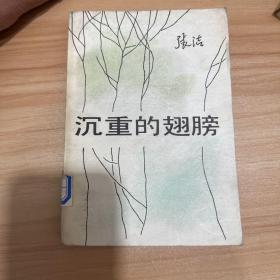 沉重的翅膀3