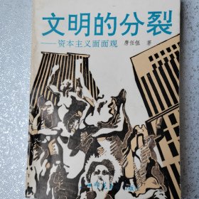 文明的分裂—资本主义面面观