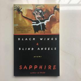 Black Wings & Blind Angels  Poems