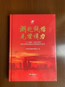 潮起钱塘见证伟力八八战略实施20周年杭州日报业集团大型融媒体采访实录（全新未拆封）