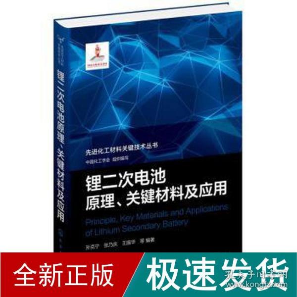 先进化工材料关键技术丛书--锂二次电池原理、关键材料及应用