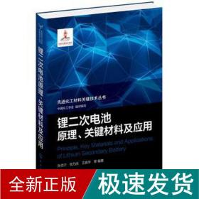 先进化工材料关键技术丛书--锂二次电池原理、关键材料及应用