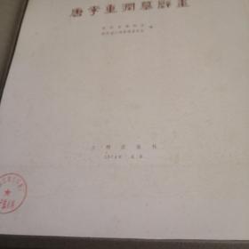 唐李重润墓壁画，八开，40散页