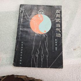 实用武当气功